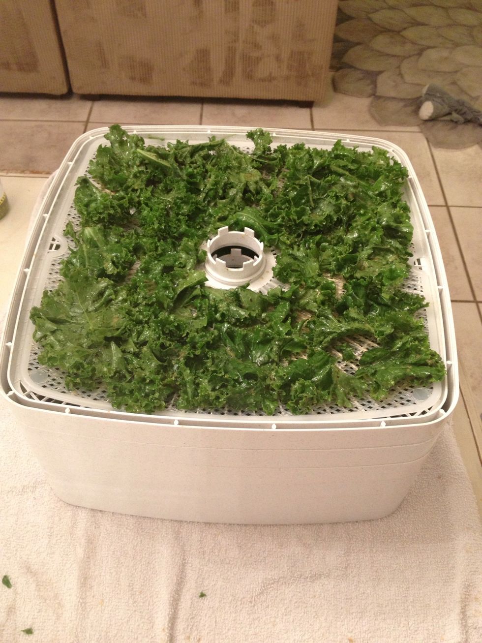 Here's the full stack. Now place the lid on and plug in and turn on.