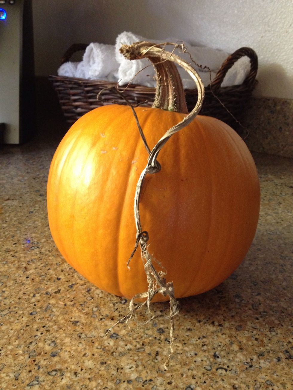 Here's the one that I chose for this guide. It was one of 20 or so that we picked from the garden at the end of September.