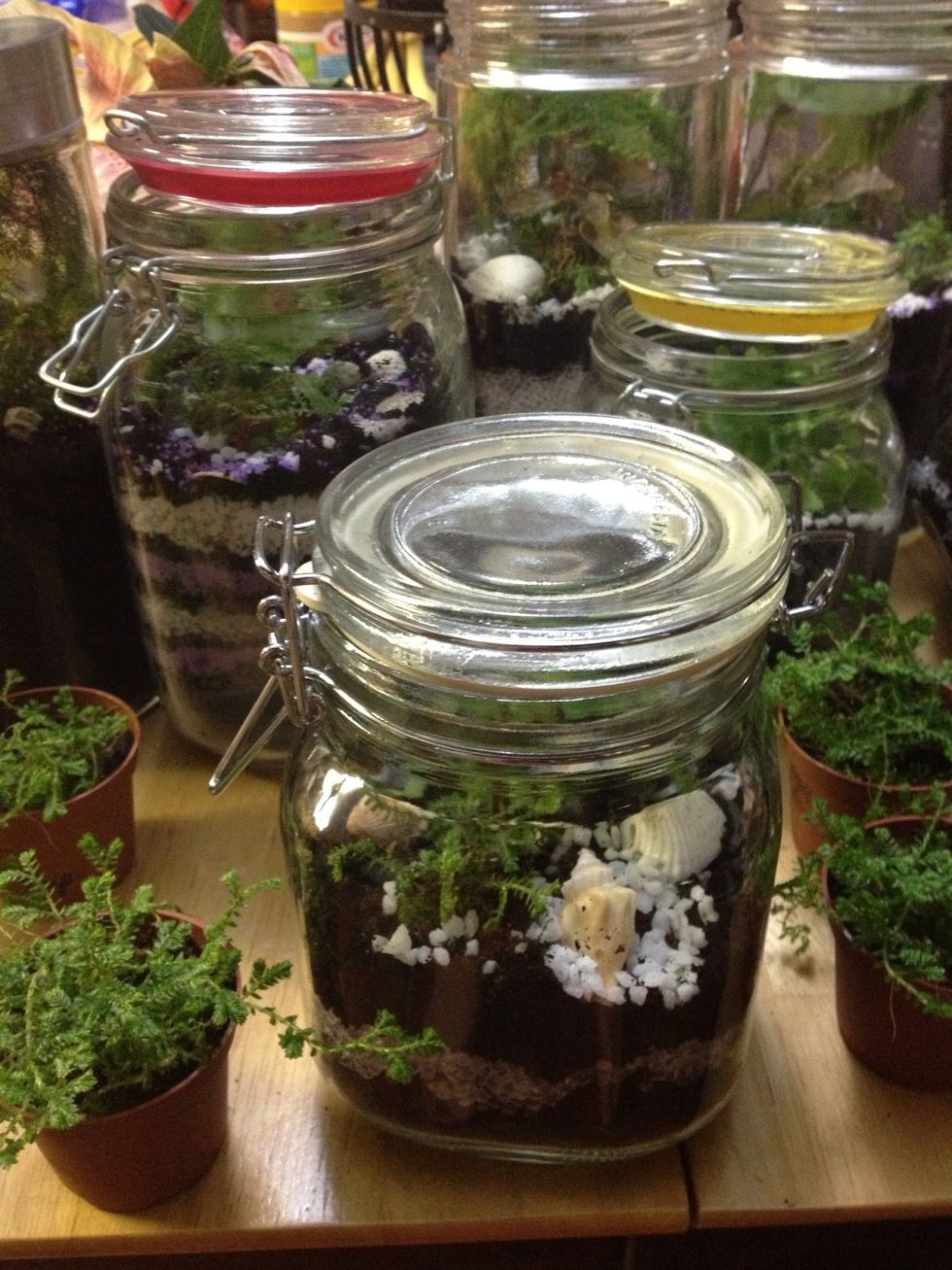 Here's what we'll be creating!