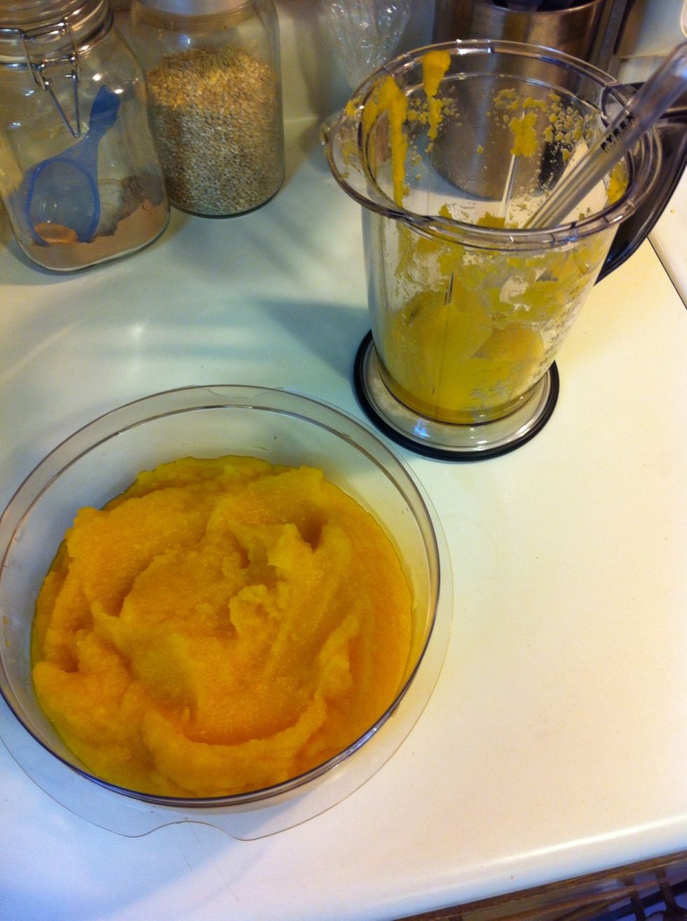 Here's what your pur\u00e9e should look like. I ended up with way more than this, but the rest will store nicely sealed up in the fridge.