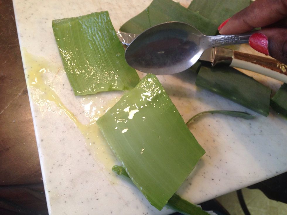 Here's where things start to get messy. Taking your spoon, scrape the meat off of the bottom of the aloe leaf.