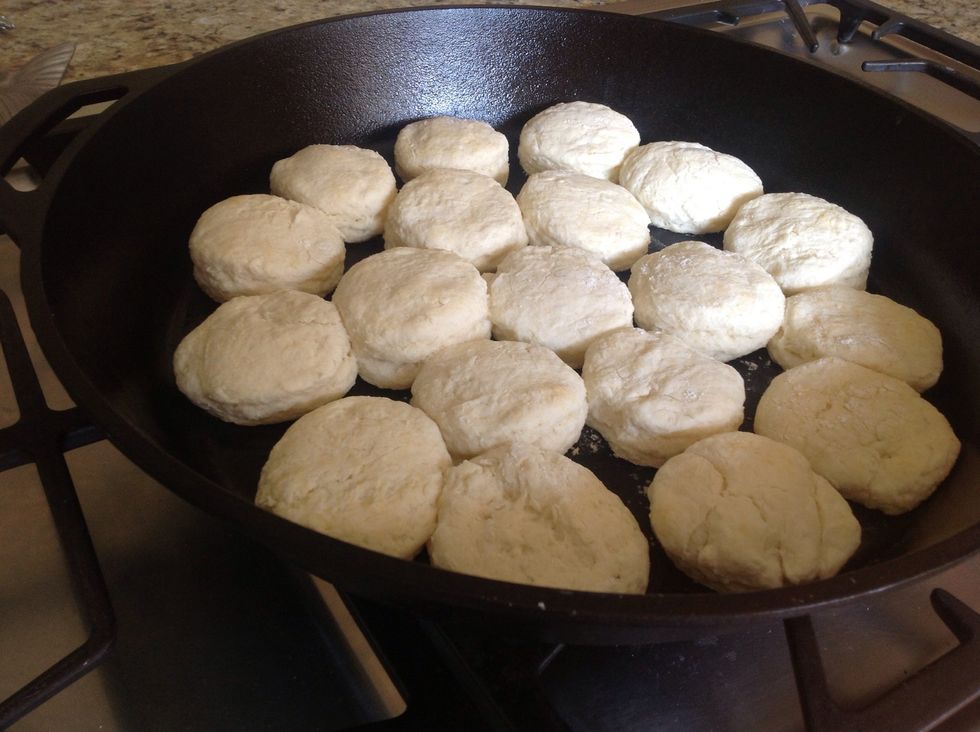 Here they are out of the oven. They probably could have cooked a minute or two longer to get a bit brown. Serve warm with butter and honey. These keep in a ziplock bag for two days.