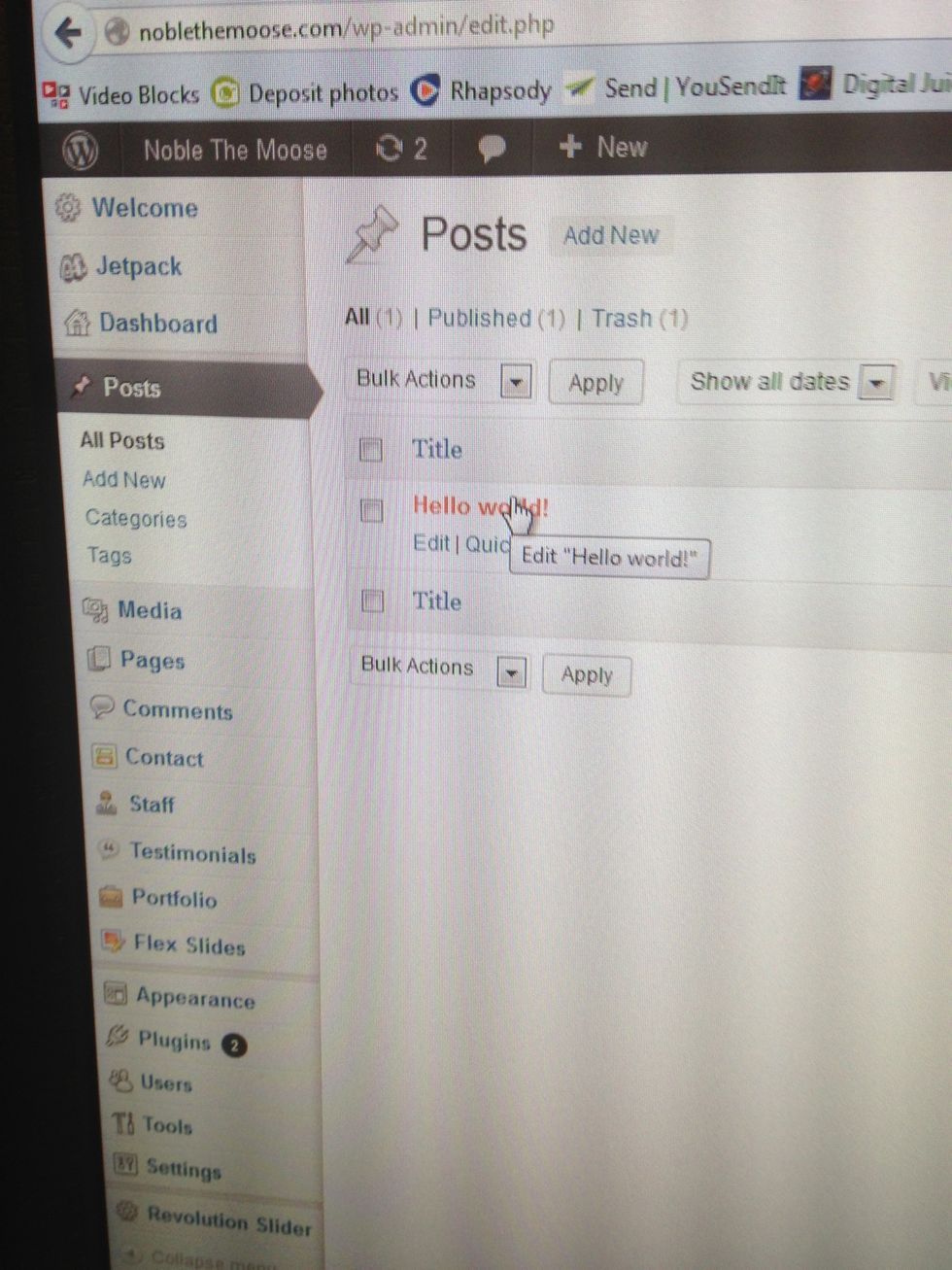 Here will be a list of all blog posts. Click on the title of a blog post to edit that post OR click on add new at the top of the screen next to the word Posts.