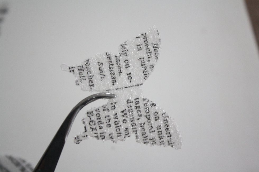 Here you can see the UTEE stuck onto the butterfly