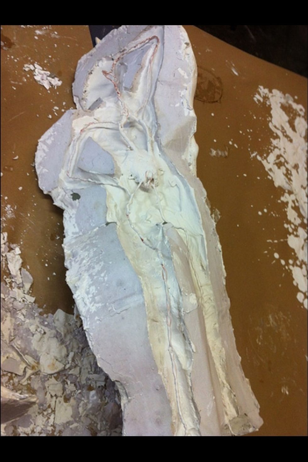 Hide the armature with a thin detail coat of hydrocal in the mold.