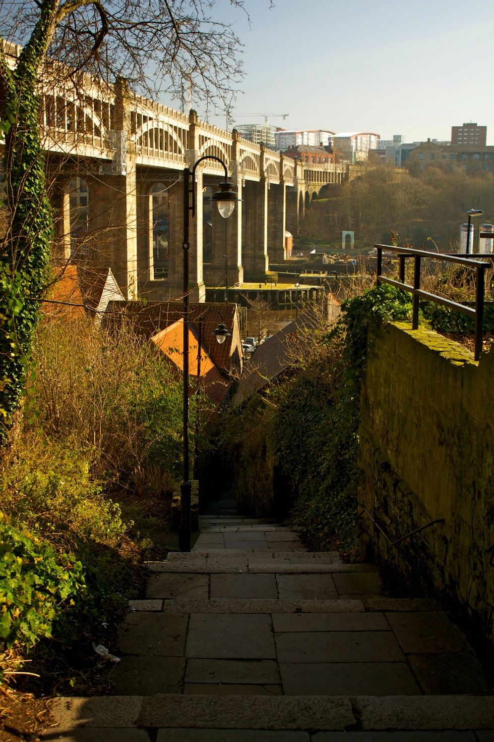 High Level Bridge from the Long Stairs