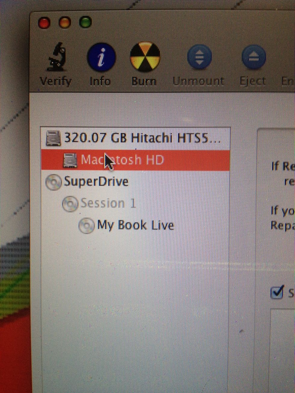 Highlight your Primary Drive (may appear as "Macintosh HD")...