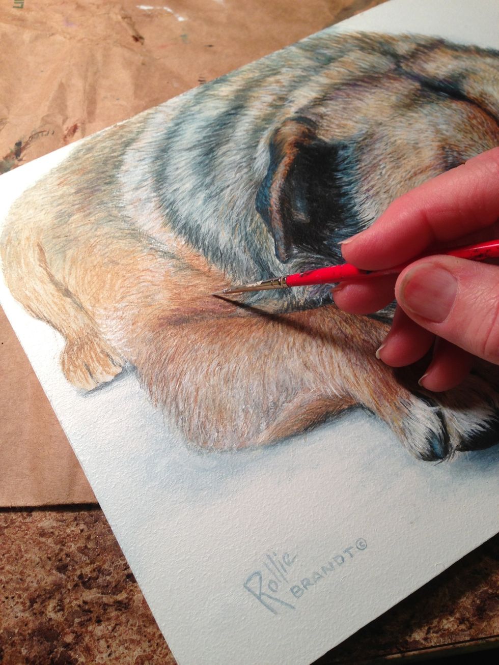 His face is the focal point but I chose to show his stocky little body and cute short legs.