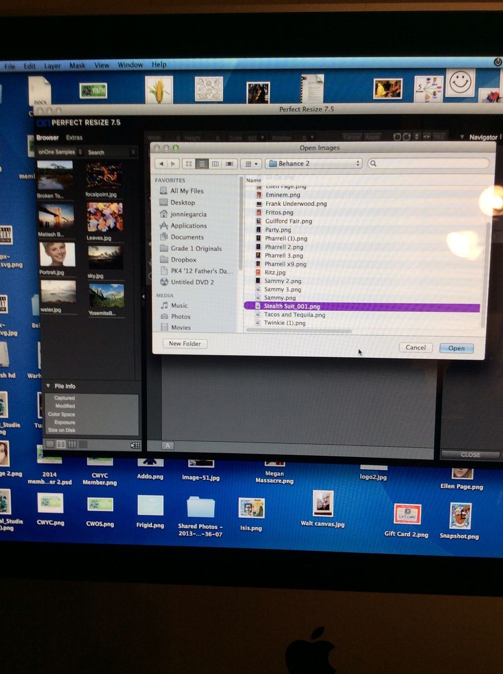 Hit file, then open the painting.