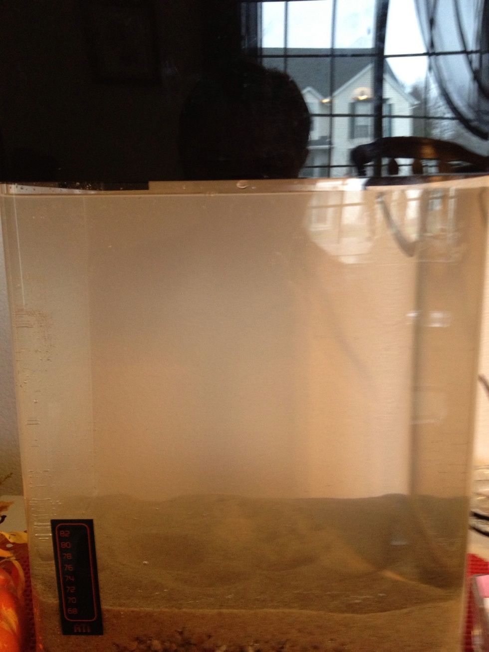 Hmmmm. I'll have to add a touch more water for the illusion of a full tank.