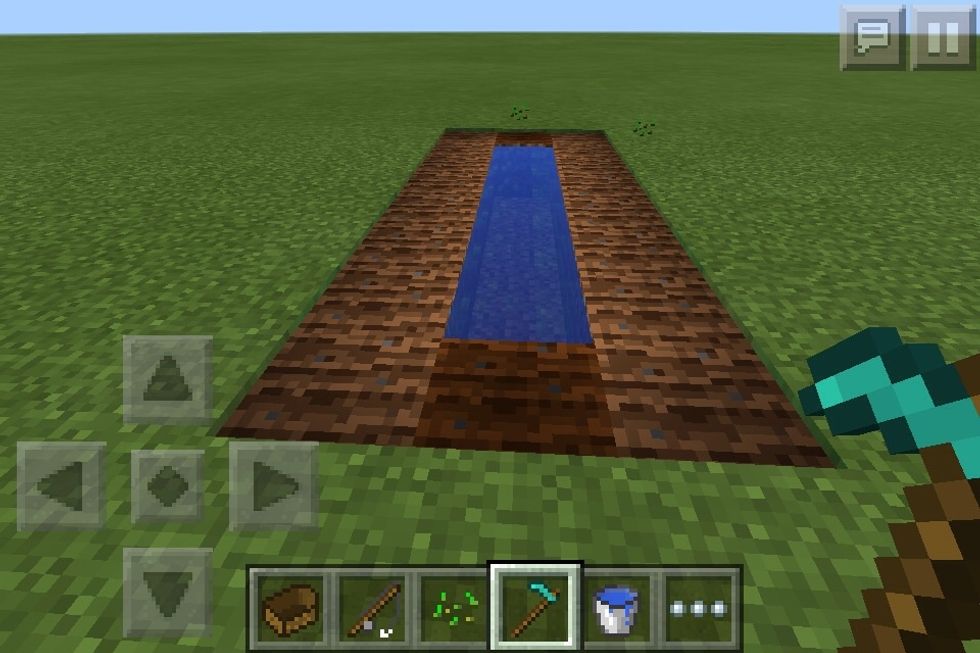 Hoe around the water hole