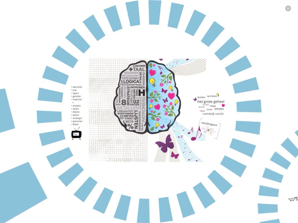 Hoe werkt ons brein?