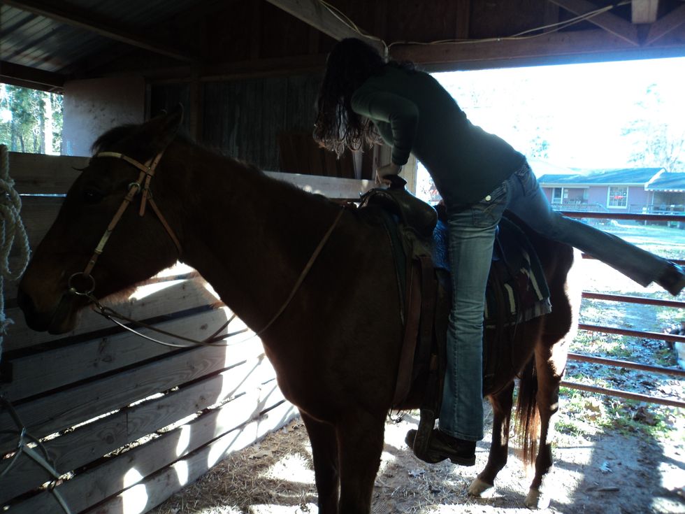 Hoist yourself up onto the horse and swing your right leg over the horses back and over the saddle