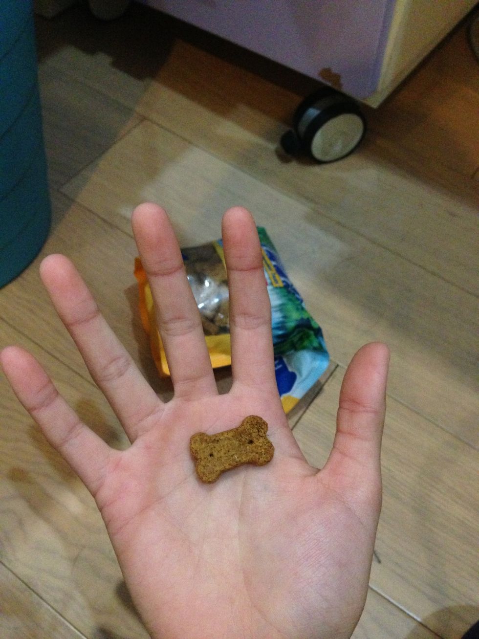 Hold a treat or two in your hand