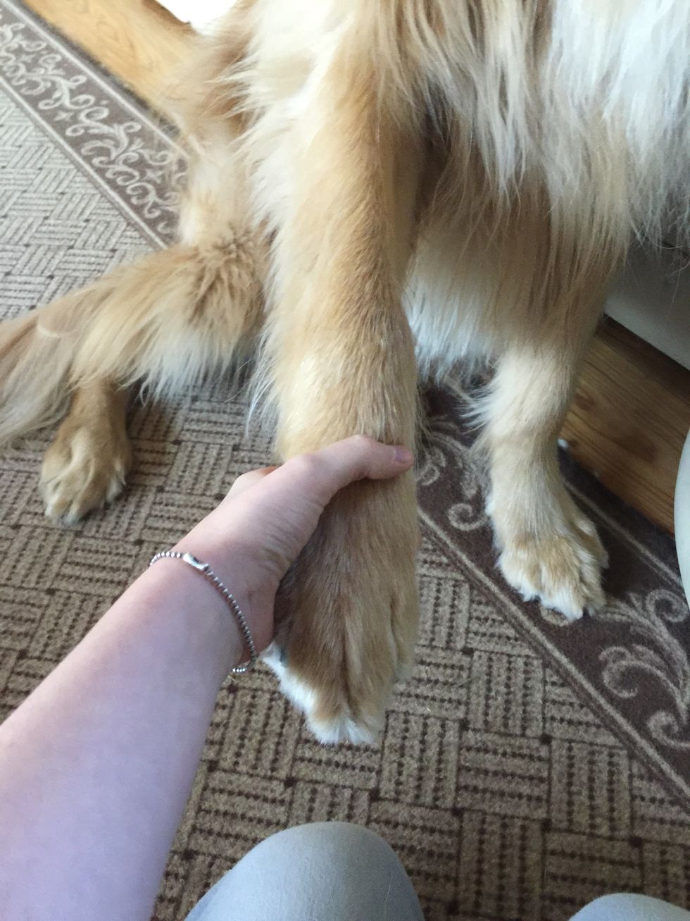 Hold his or her hand like so...