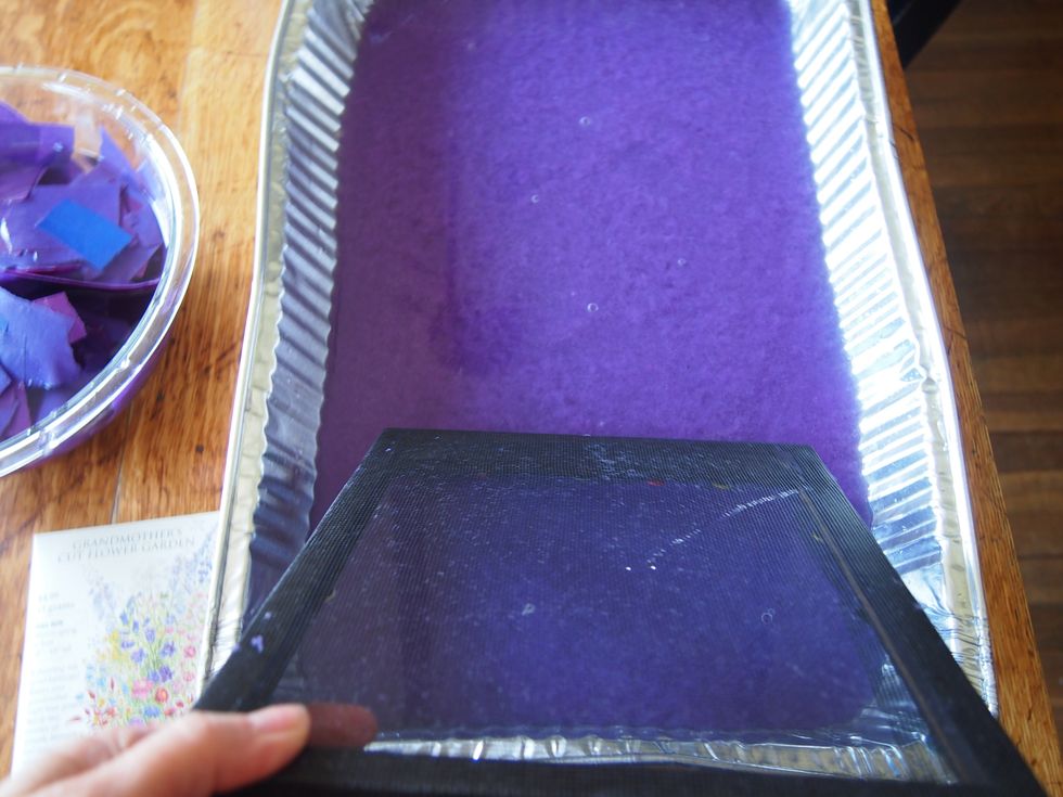 Hold the screen frame parallel (flat top side not back side!) to the tabletop and dip it into and under the pulp and seed mixture.
