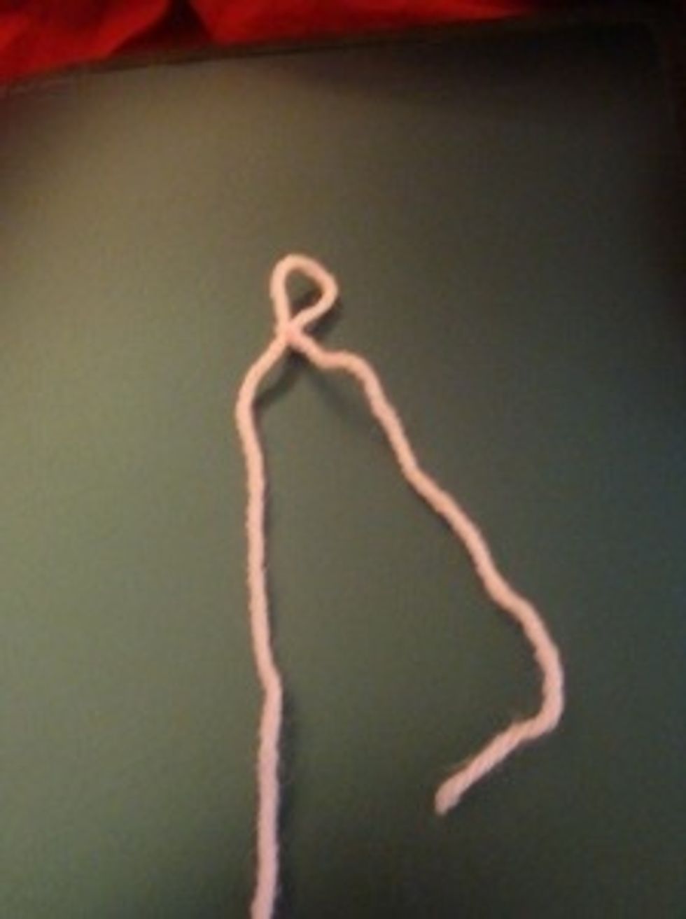Hold the tail of the yarn in your left hand and the newly made loop in your right hand. Pull the tail to tighten, and make a slipknot.