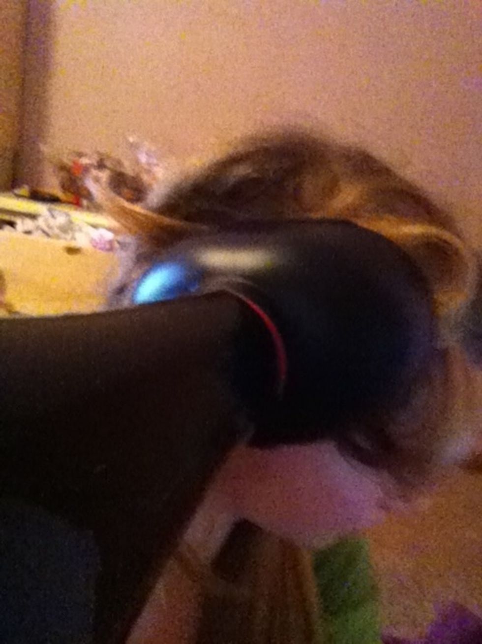 Hold until hair is dry. Repeat until all hair sections are completely dry(: