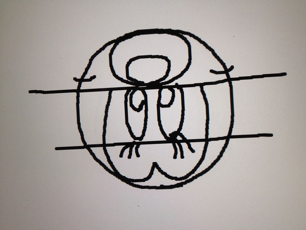 (hold your phone upside down)draw eyelashes