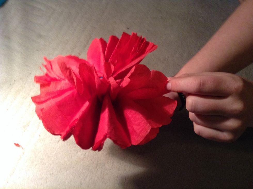 Holding the stem at the bottom, pull each layer of tissue paper out of the concertina folds towards the middle. Be very carful when doing this as not to rip any of the tissue paper.