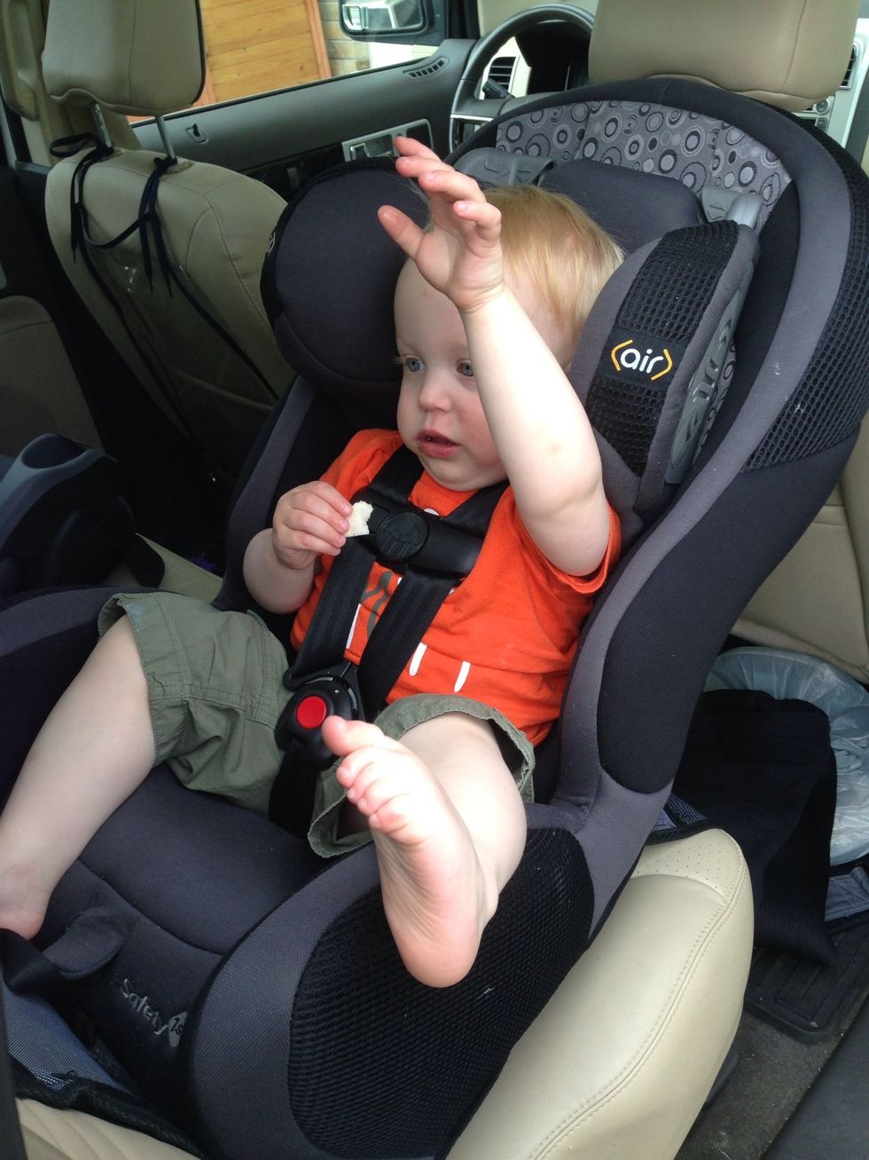 Hooray!! I'm ready to go for a drive!!