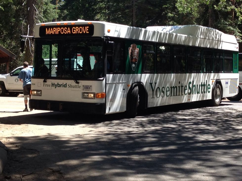 Hop on the shuttle back to the Wawona Hotel.