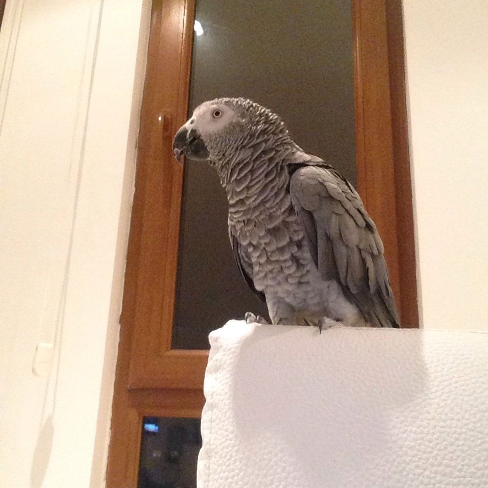 Hope this guide helped you!! PLS LIKE AND COMMENT!!