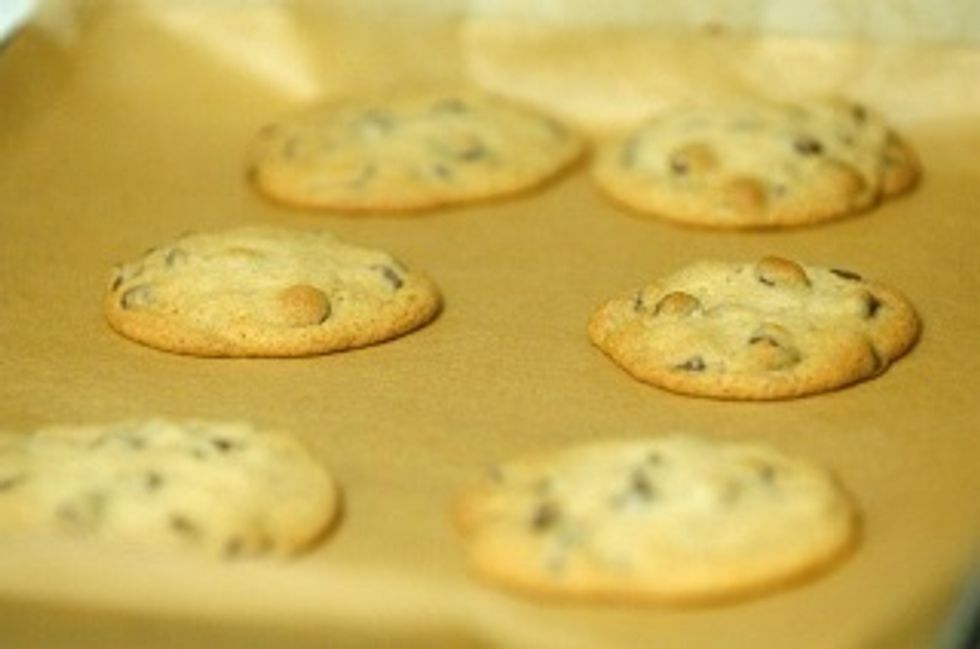 Hornee las galletas en el horno calentado.