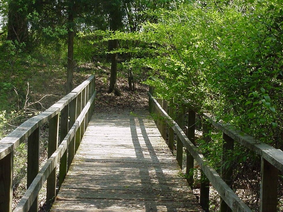 How long does it take wood to decompose?300 years to 3 years