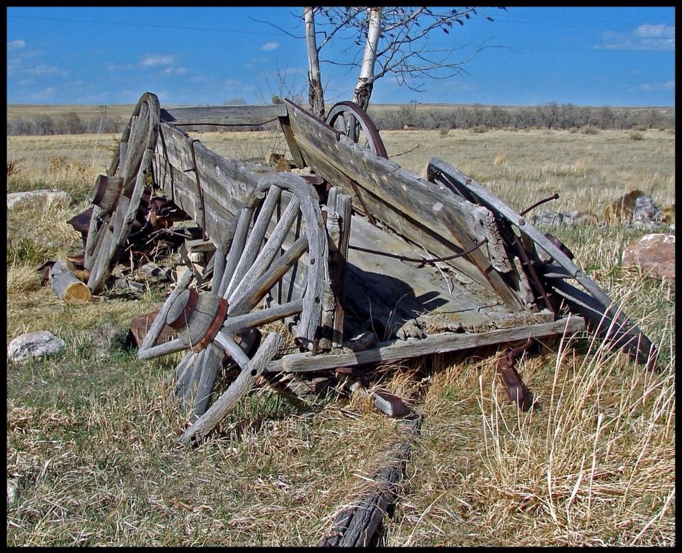 How long will it take for the wood to decompose?20 years at the olc there was a wagon simmaler.