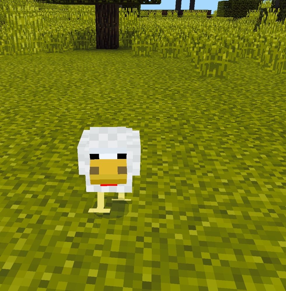 How to make a chicken fallow you is you need.....