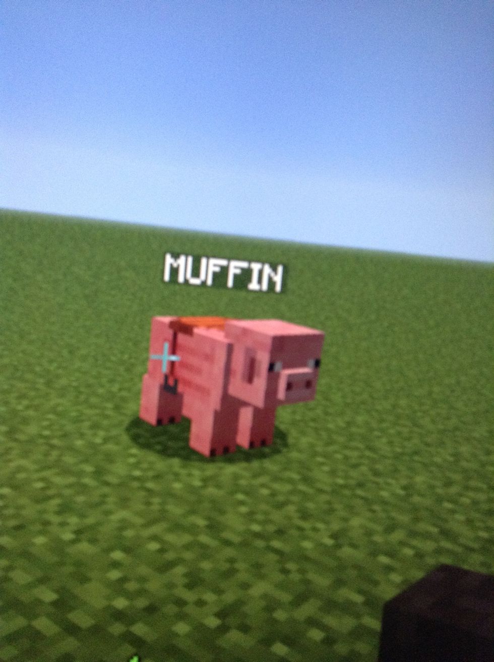 How to name your pig