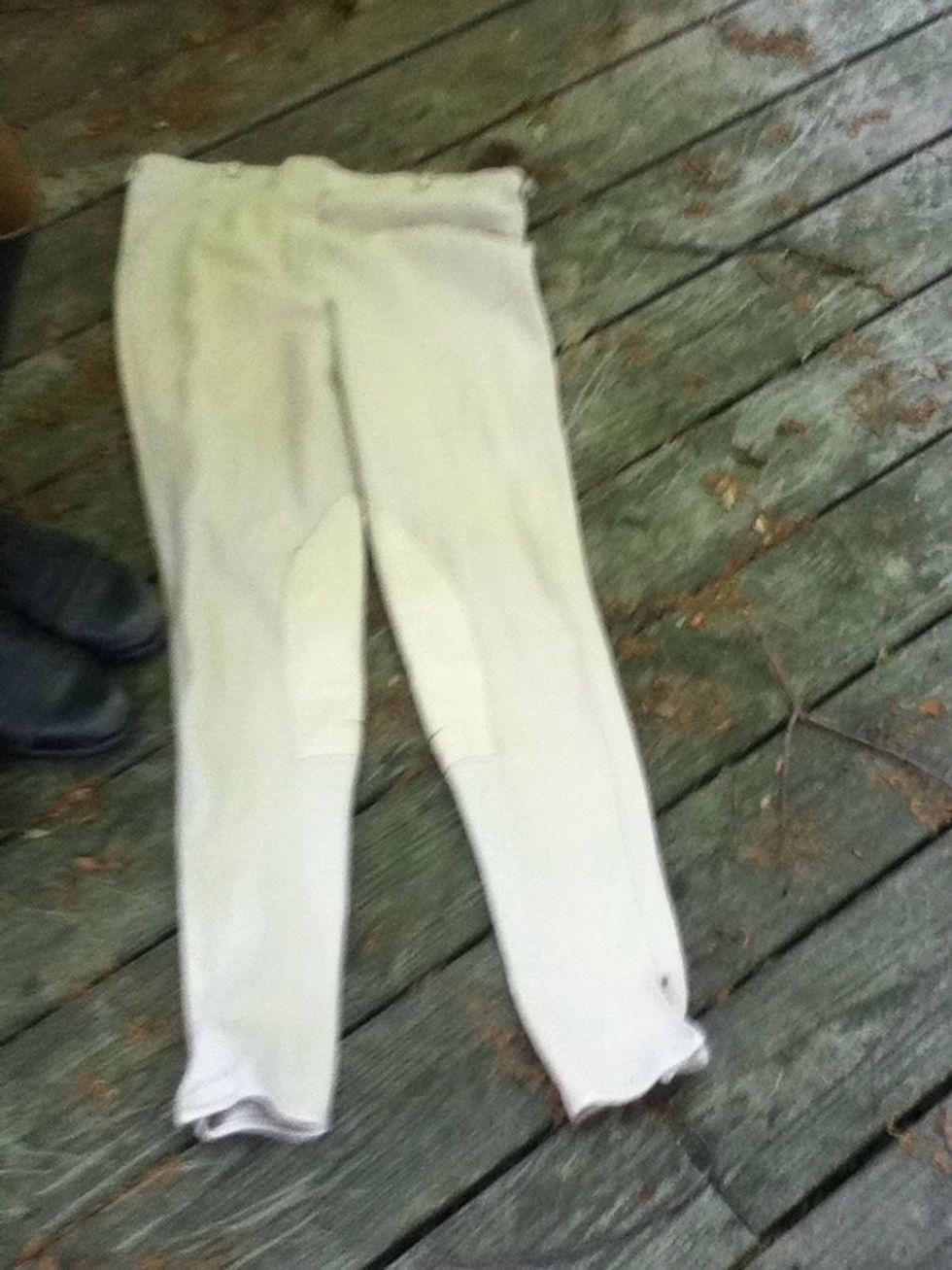 Hunt seat: Breeches, color: olive, brown or a shade if tan. $20-50ish. For dressage you need white.
