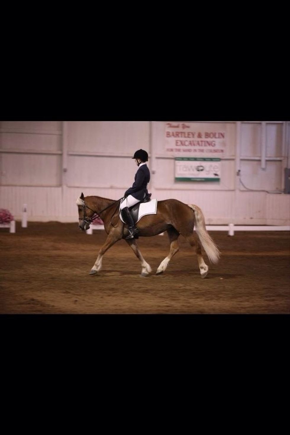 Hunt seat (dressage)