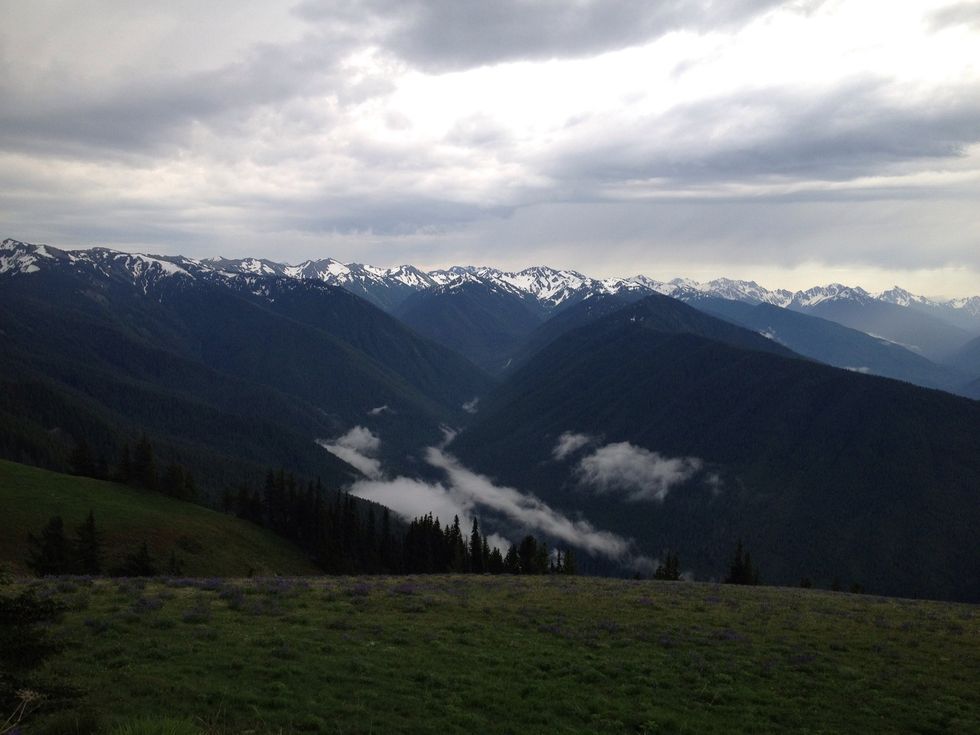 Hurricane ridge was the last stop in Olympic National Park and it was spectacular, but check with the lower station that visibility is good before driving all the way up.