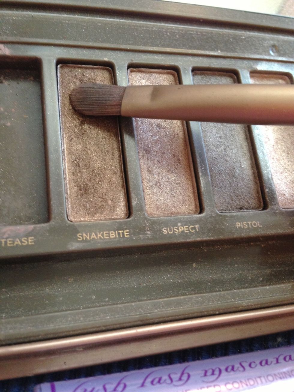 I add Snakebite (medium/light brown) in my crease.