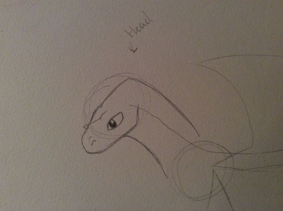 I added details to the face and added the neck. The neck can be a variety of sizes