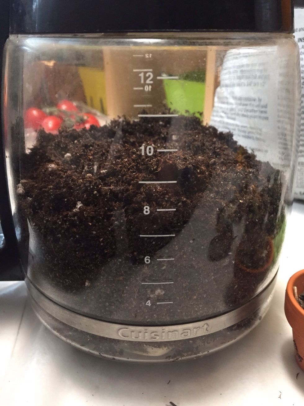 I added soil up to the nine cup mark.