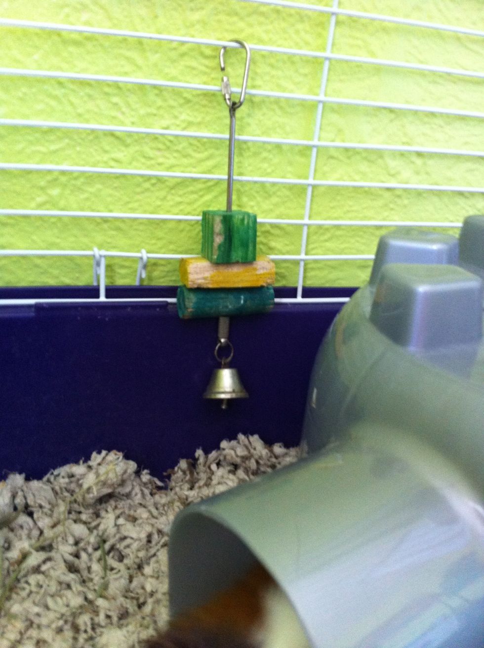 I also have a rod with some more chew blocks on. The blocks are removable and you can put veggies on it. Chew blocks help keep their teeth trimmed healthily.