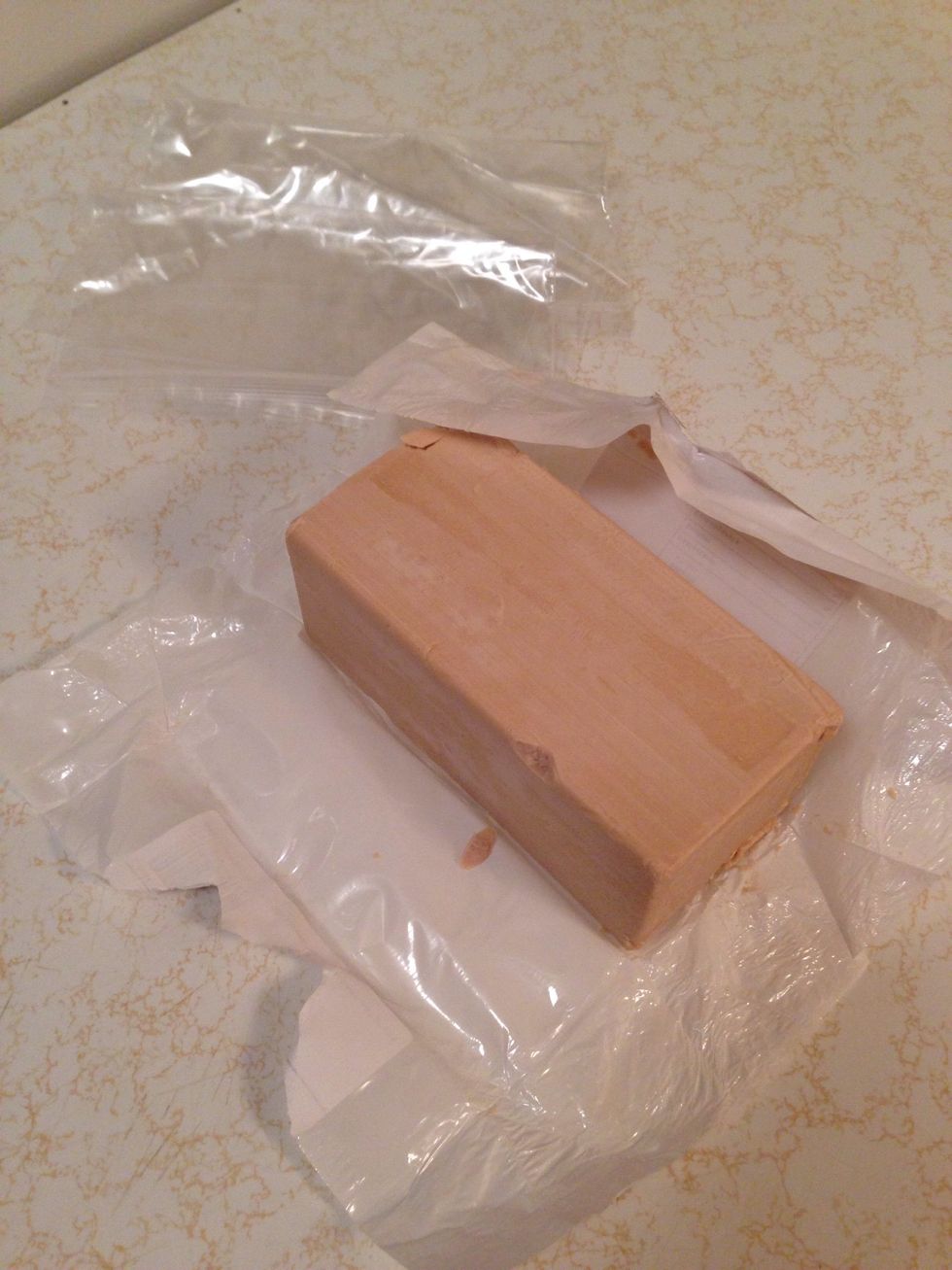 I always buy a big block of yeast in Superstore's bakery. I've never been able to use all of it before it goes bad :(