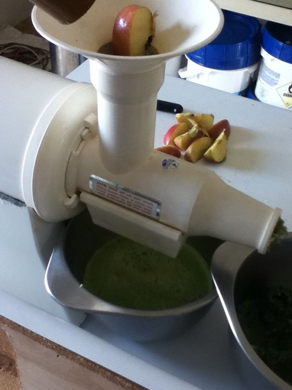 I always juice everything but the apples and carrots. I then juice apples and then carrots last. That order has worked best for me and my juicer :)