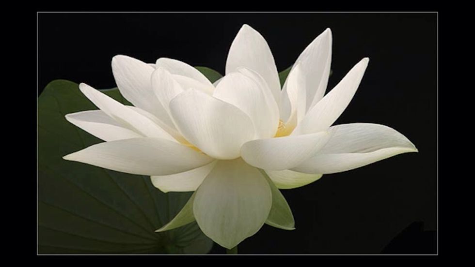 I am Hindi and I am blessed with the teachings of my Mum and my Nan and it would please my soul to share it with you. However, this this dish is done my way...it's much faster and easier too!\ud83d\udc8b