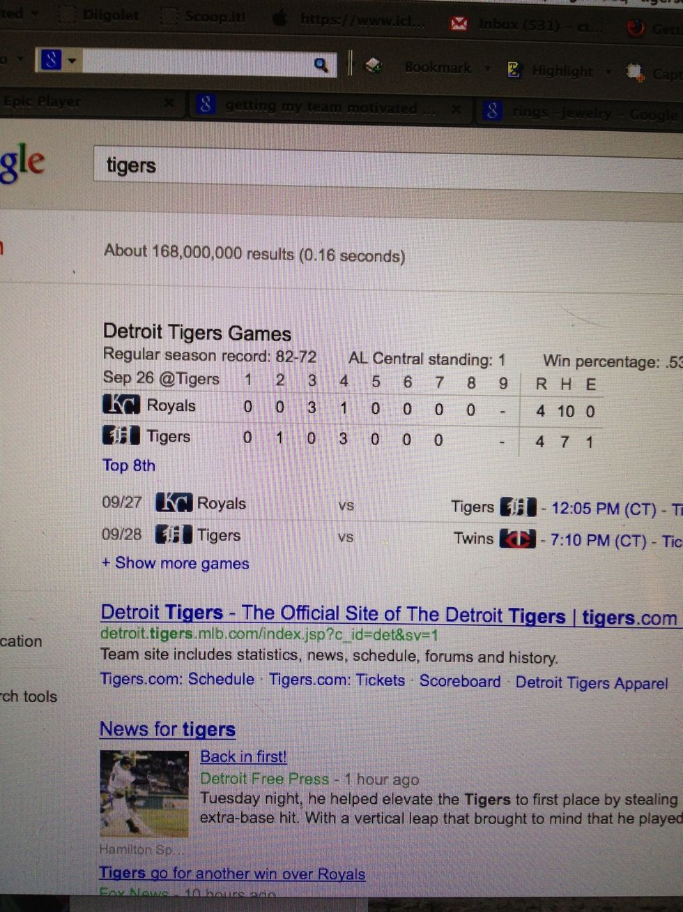 I am not meaning the Detroit Tigers!