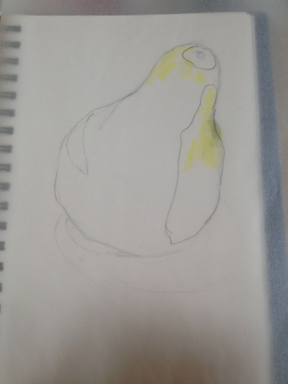 I am starting with the lightest color, a light yellow. While I will add a light layer over most, I concentrate the color in the outlined areas. Start light as you can easily fill the paper.