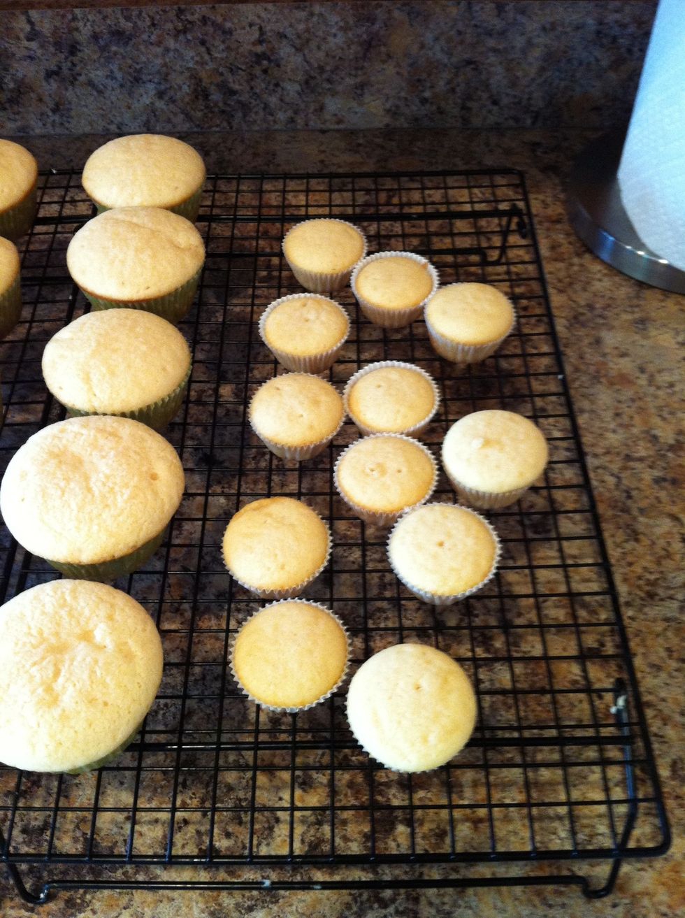 I bake regular size cupcakes as well as the mini ones. The mini ones act as buds in your bouquet