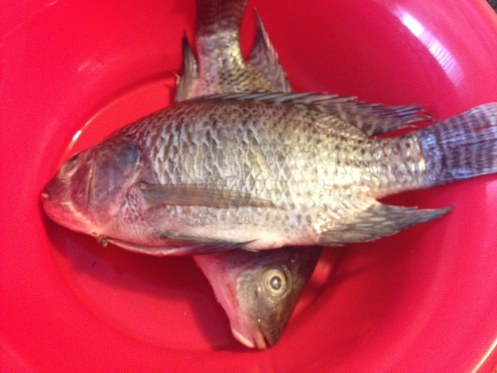 I bought frozen fish; thawed prior to these steps. Make sure the it is cleaned: scaled and gutted. You can get rid of the fins too but i think it's easier to remove while eating.