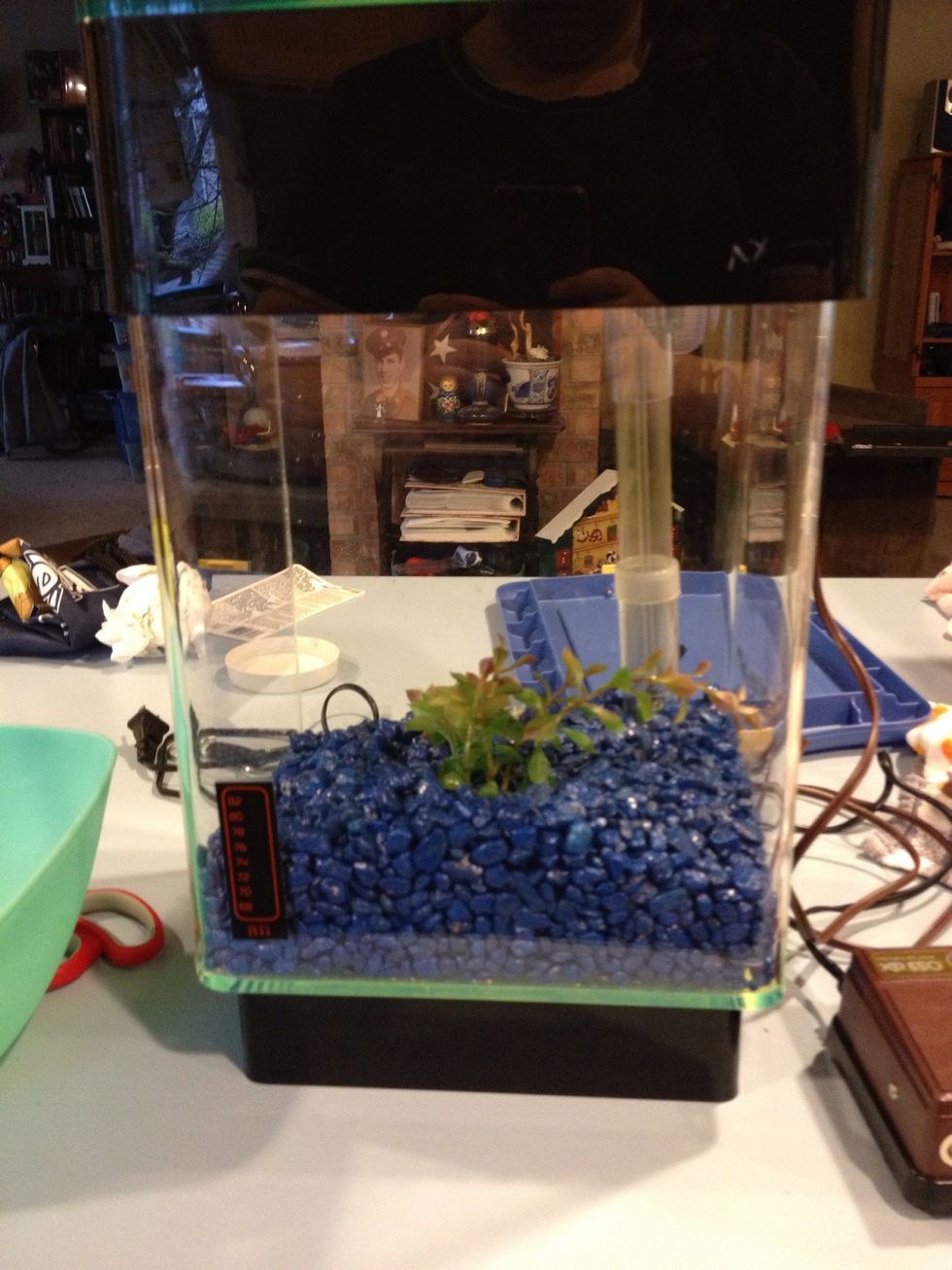 I bought this cool aquarium at the Goodwill. I need to get it started. My plan is to build this up slowly, so for this part it is just getting the aquarium up and running.