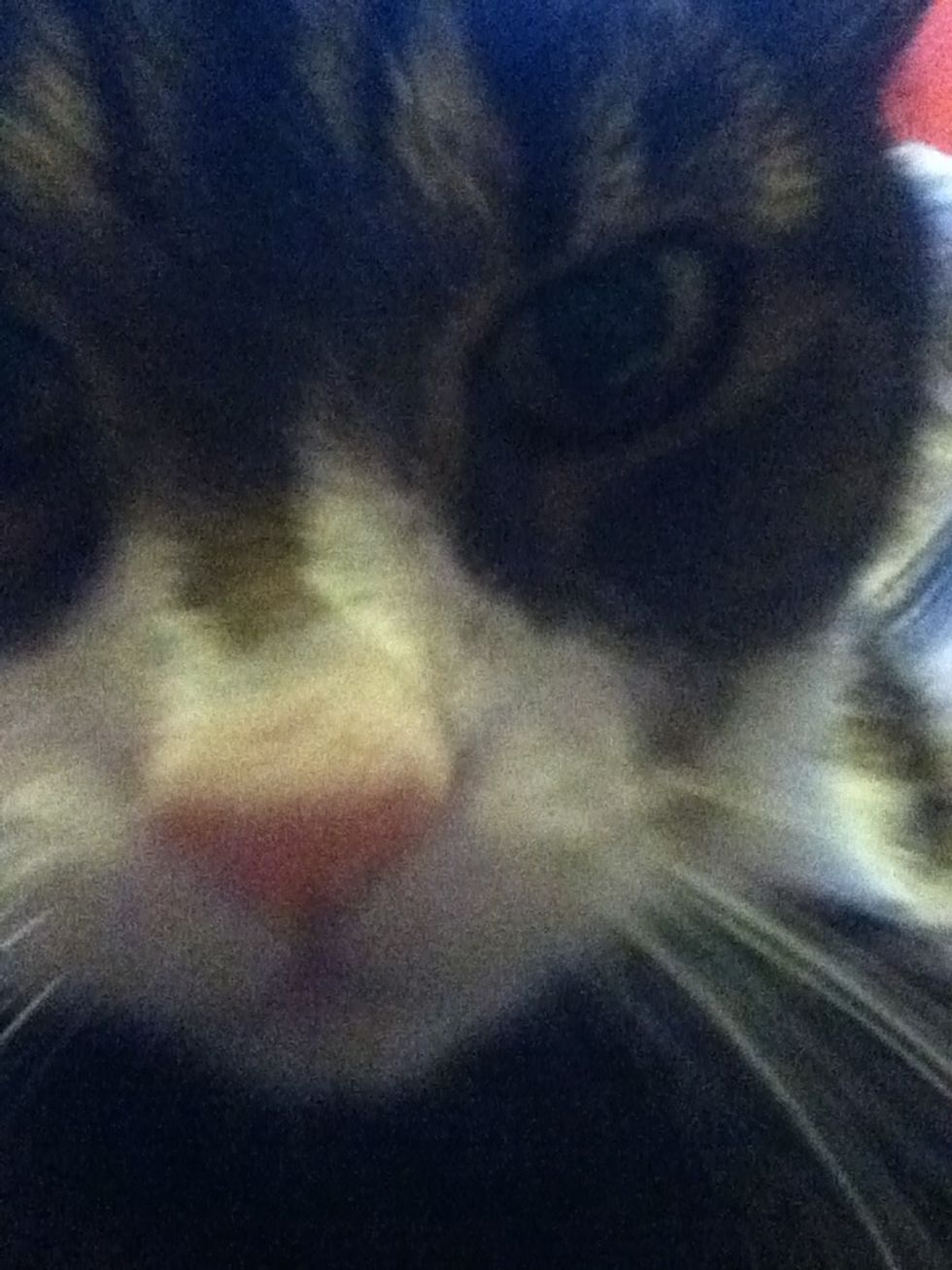 "I can smell treats!"