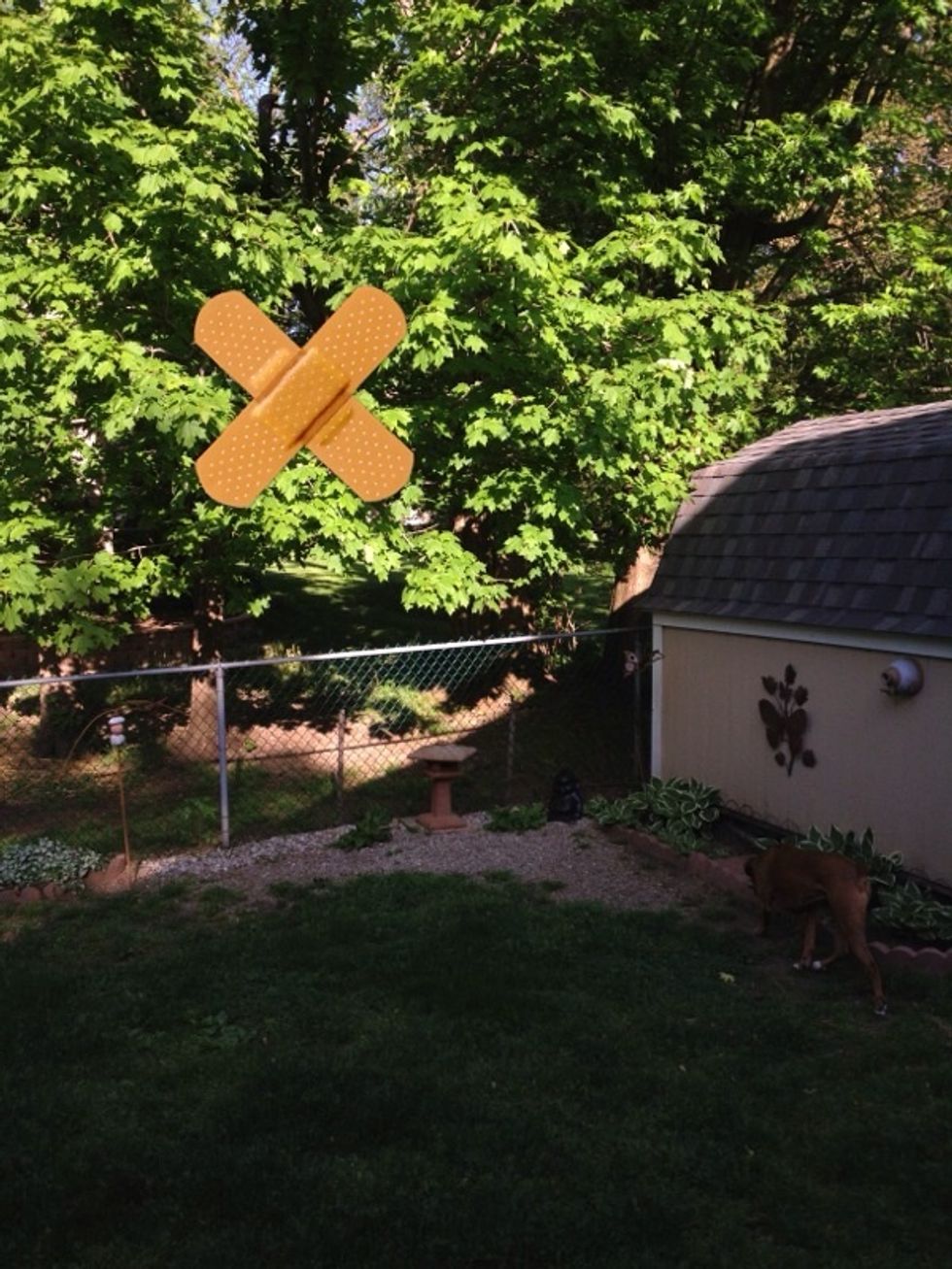 I can't replicate the box that appears but the X will have to do. As this demonstrates, touching the tree in full sun will make the ground too dark.