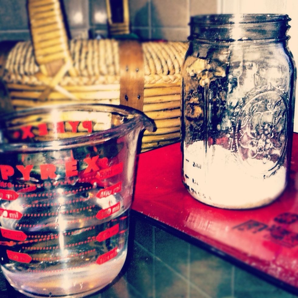 I chose a widemouth gallon canning jar The opening allows for a spatula and they are so pretty. Your new yeastie friends will be living on your counter for a while you should give them some fancy digs